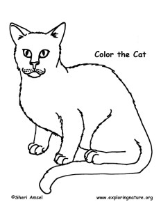 Cat – Coloring Nature