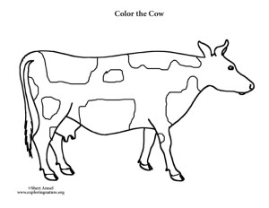 Cow – Coloring Nature